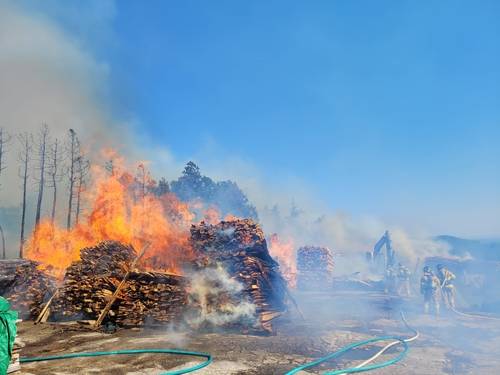 제주 서귀포 제재소 화재 현장 [서귀포소방서 제공. 재판매 및 DB 금지]