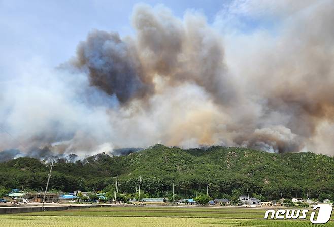 28일 낮 12시쯤 경북 울진군 근남면 행곡리의 한 야산에서 불이 나 울진읍 방향으로 확산되고 있다. 산림당국은 산불전문진화헬기 등 17대와 장비 34대, 공무원 등 140명을 투입 진화 중이다. (독자제공) 2022.5.28/뉴스1 © News1 최창호 기자