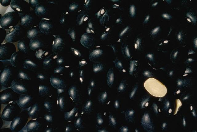 검은콩은 탈모뿐 아니라 변비 예방에도 도움이 된다./사진=게티이미지뱅크