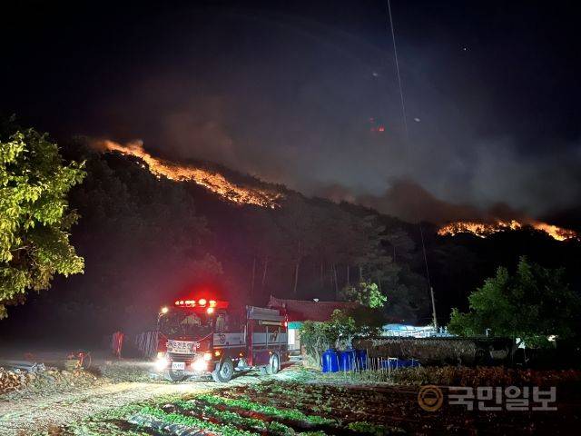 28일 낮 12시 6분쯤 경북 울진군 근남면 행곡리 야산에서 발생한 산불이 밤사이 강한 바람을 타고 번지고 있다. 경북소방본부 제공