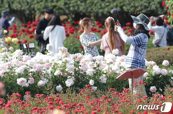 25일 오후 울산 남구 울산대공원 장미원을 찾은 시민들이 활짝 핀 꽃들을 감상하고 있다. 2022.5.25/뉴스1 © News1 조민주 기자