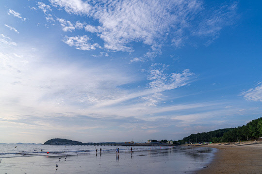 용두해수욕장 전경. 사진=보령시 제공