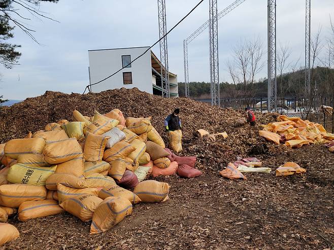 충북 제천시 신월동에 있는 제천산림조합 부지 내 수매장에 낙엽이 쌓여있다. 사진 제천시