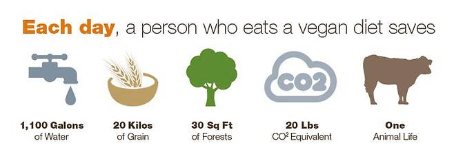 육식을 줄일 때 얻을 수 있는 친환경 효과. 출처=goveganbevegan.com