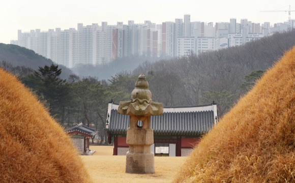 경기 김포시 장릉(사적 제202호)에서 문제의 검단 신도시 아파트가 보이고 있다. [사진=뉴시스]