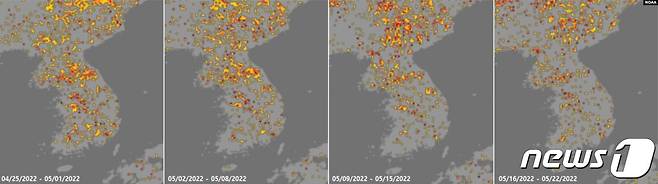 4월~5월 북한 가뭄지수를 보여주는 미 국립해양대기청(NOAA) 자료. '심각'을 나타내는 검붉은색 점이 곳곳에서 나타났다. (VOA)© 뉴스1