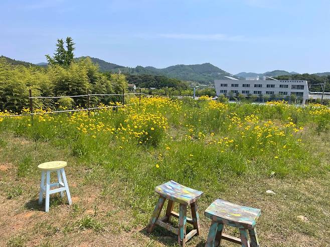 건물 뒷편 노란 꽃과 예쁜 사진을 남길 수 있는 포토존.  /사진= 강예신 여행+ 기자