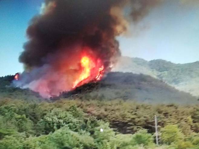 31일 오전 경남 밀양시 부북면 산에서 발생한 산불이 거세게 확산하고 있다.  경남소방본부 제공