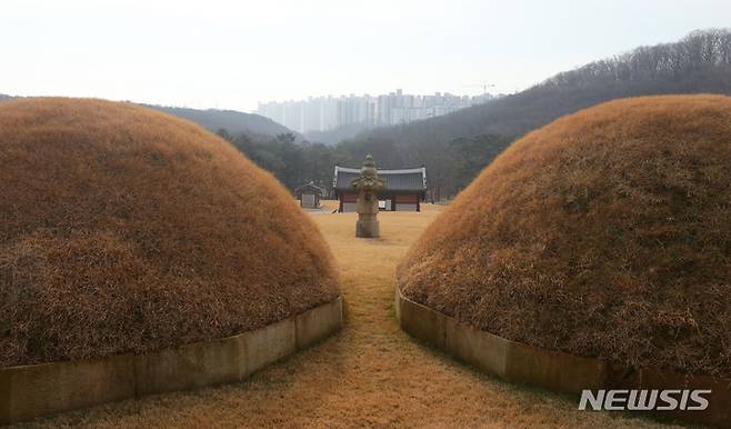 [김포=뉴시스] 배훈식 기자 = 일명 '왕릉뷰 아파트' 건설사 2곳이 문화재위원회 심의를 거부한 것으로 알려진 9일 오전 경기 김포시 장릉(사적 제202호)에서 문제의 검단 신도시 아파트가 보이고 있다. 2021.12.09. dahora83@newsis.com