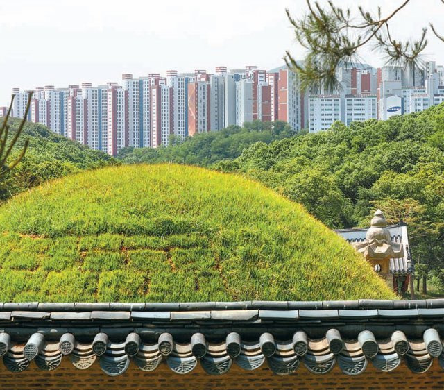 31일 유네스코 세계문화유산인 경기 김포시 장릉 뒤로 문화재보호법 위반 논란 속에 이날부터 입주를 시작한 인천 서구 검단신도시 고층 아파트 모습이 보인다. 김포=뉴스1