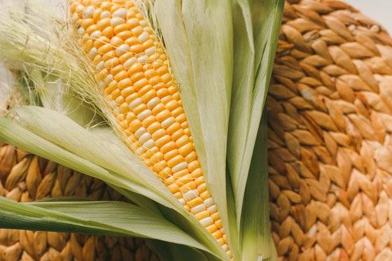 옥수수는 세계 3대 작물로 웬만한 가공식품에 빠지지 않고 들어간다. 사진 unsplash