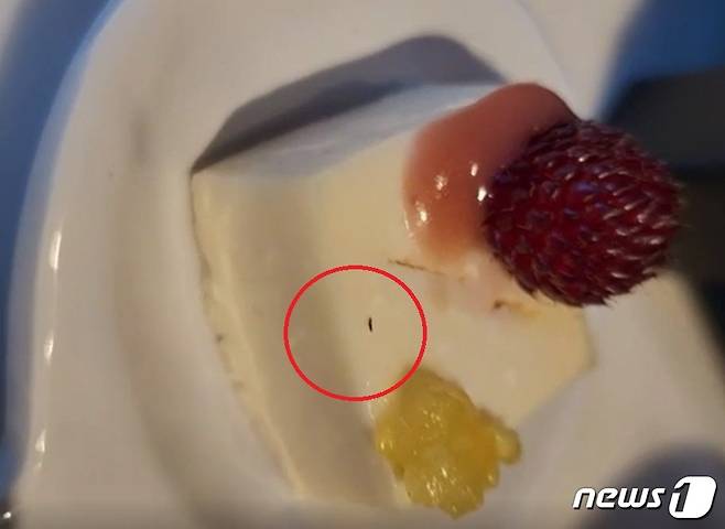 "호텔 측의 사과를 받지 못했다"며 A씨는 한국소비자원에 고발하는 등의 추가 대처를 고려 중이다 (A씨 제공) © 뉴스1