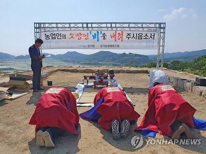 가뭄 끝낼 비 내리기를 (포항=연합뉴스) 3일 경북 포항시 남구 장기면 장기읍성에서 장기면과 장기농업협동조합, 이장협의회, 자생단체 관계자들이 긴 가뭄을 끝내줄 비가 내리기를 기원하는 기우제를 지내고 있다. 2022.6.3 [포항시 제공. 재판매 및 DB 금지] sds123@yna.co.kr