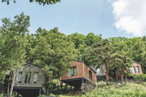 숲속에 파묻힌 양옥객실. 나무를 자르지 않고 크레인을 동원해 지었다. ［사진 전재호 작가］