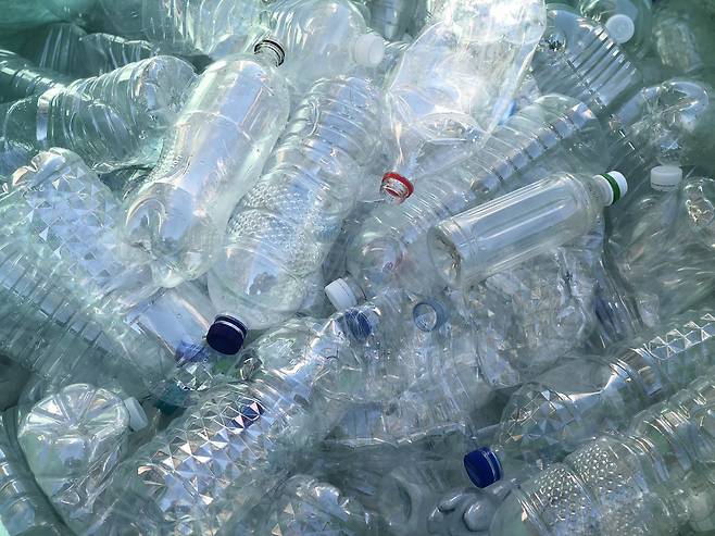 분리배출한 투명페트병이 쌓여있는 모습. 사진 녹색연합