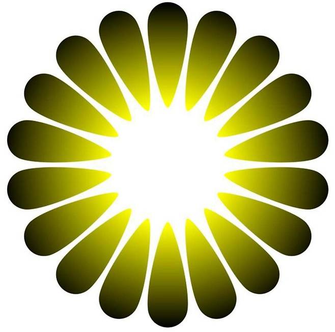 아침해 착시 그림. 가운데 흰색이 외곽의 흰색보다 더 밝게 느껴진다. Frontiers in Human Neuroscience