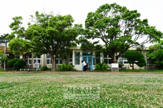 폐교를 활용한 한림읍의 카페 명월국민학교.