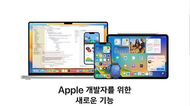 현재 배포되고 있는 베타 버전을 개발자를 위한 '개발자 베타'다. 출처=애플 홈페이지 캡처