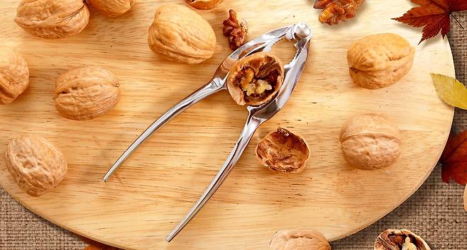 넛크래커/사진=이미지투데이