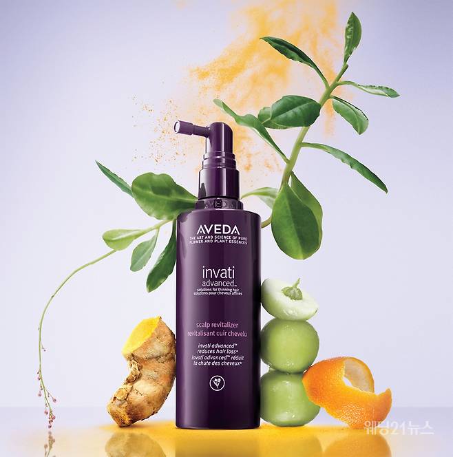 사진제공 : 아베다(AVEDA)