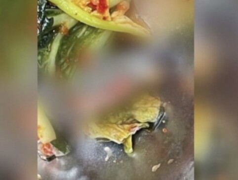 지난달 30일 서울의 한 급식에서 발견된 개구리 사체의 모습. 트위터 갈무리