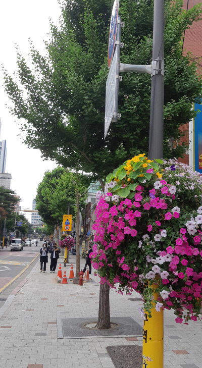 한국은 깨끗하고 예쁜 모습으로 변해 있었다. 도시, 시골 할 것 없이 어디를 가도 예전과 많이 달랐다.