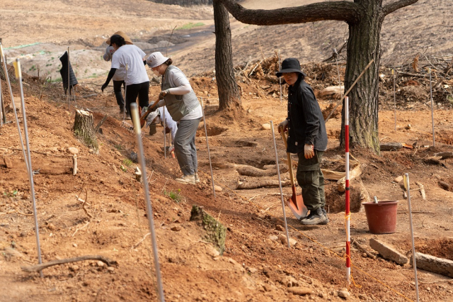 ▲지난 3월 28일부터 4월 25일까지 곡계굴 사건 무연고 희생자 유해발굴 사업이 진행됐다. ⓒ김일우