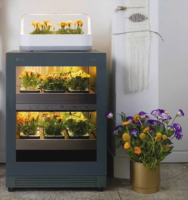 LG 틔운과 틔운 미니 /사진=LG전자 제공