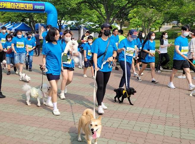 대구보건대 학생들이 지난 19일 울산대공원 남문광장에서 열린 ‘제20회 울산커플마라톤대회’에 반려견과 지역 다문화청소년들과 함께 참가했다. (대구보건대 제공) 2022.06.21