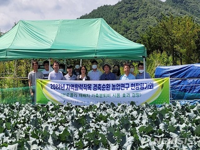 [장수=뉴시스]윤난슬 기자 = 전북 장수군 농업기술센터는 센터 실증시험 포장에서 전북농업기술원과 공동으로 가축분퇴비를 활용한 브로콜리 재배 현장 평가회를 진행했다고 21일 밝혔다.(사진=장수군 제공)