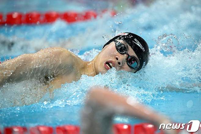 한국 수영의 황선우. © AFP=뉴스1