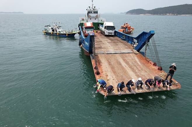 보령 어민 등이 22일 운반선에서 원산·삽시도 해상에 꽃게 종자를 방류하고 있다.(보령시 제공)© 뉴스1