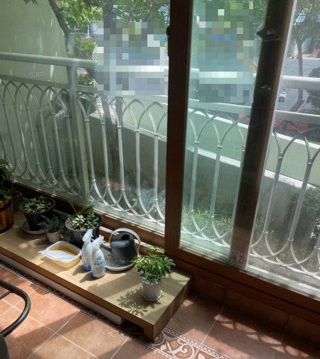 햇볕이 드리우고 식물이 그걸 쬔다. 무럭무럭 자란다. 아이들도 자란다. 그늘이 아닌 햇볕 아래에서. 온기가 가득한 봄날, 그룹홈의 베란다에서./사진=남형도 기자