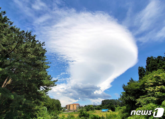 23일 오후 제주시 하늘에 바람이 강한 날씨에 형성되는 '렌즈구름'이 떠올라 눈길을 끌고 있다. 렌즈구름은 덥고 습한 공기가 한라산을 넘어가면서 만들어진다. 2022.6.23/뉴스1 © News1 오현지 기자
