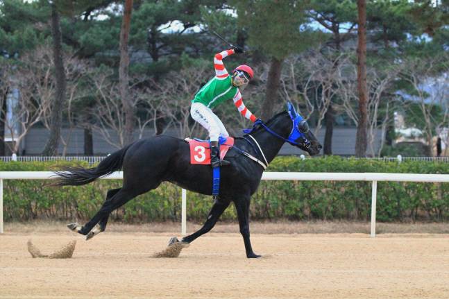 2021년 브리더스컵 우승 세레머니를 하는 정정희 기수