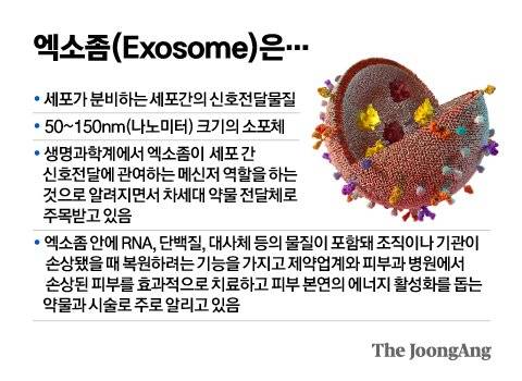 그래픽=김영옥 기자 yesok@joongang.co.kr