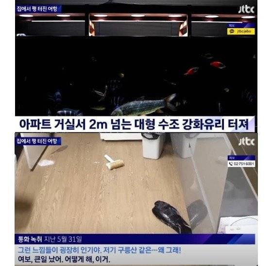 [JTBC 방송화면 캡처]
