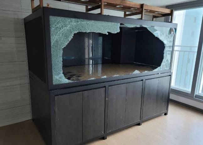 아파트에서 2m가 넘는 대형 어항이 터져 수천만원의 재산피해가 발생했다. 온라인 커뮤니티 캡처