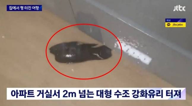 수조 유리가 깨지면서 안에 있던 물과 물고기가 거실 바닥으로 빠져 나왔다. 어항에 있던 물고기 100여마리는 대부분 폐사했다. JTBC 캡처