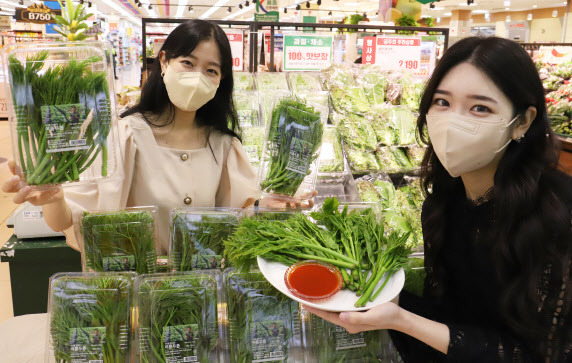 롯데마트 모델들이 서울역점에서 여름두릅을 소개하고 있다.(사진=롯데마트)