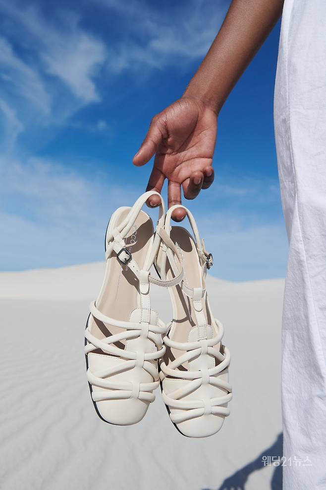 사진제공 : 에코(ECCO)