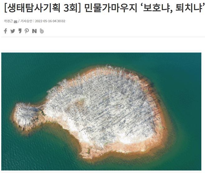 지난달 16일 쿠키뉴스 <민물가마우지 &lsquo;보호냐, 퇴치냐&rsquo;>보도