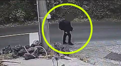 지난달부터 이달까지 서귀포시 일대를 돌며 전선 700여m를 훔친 50대가 구속됐다/사진=뉴시스