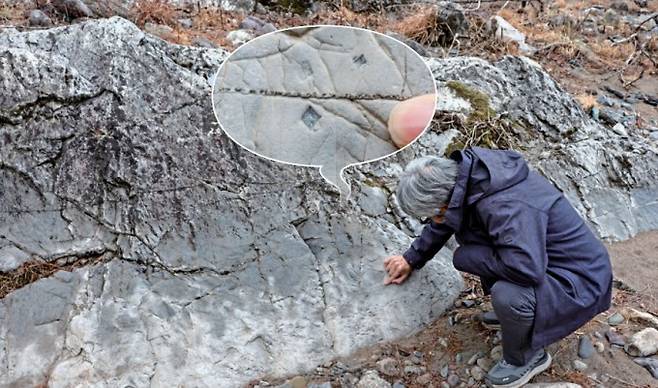 구문소 석회암의 소금흔. 정육면체 모양의 소금 결정이 물에 녹아 사라지고 그 공간을 방해석 결정이 채우면서 네모난 자국이 남았다. 우경식 제공