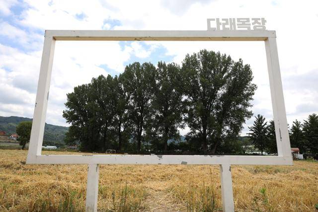 카페를 함께 운영하고 있는 내수읍 다래목장. ⓒ박준규