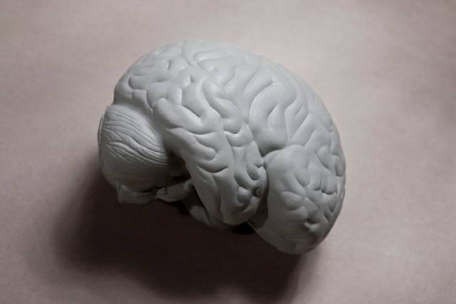 뇌종양은 일반적인 암과 다른 특성 및 분류 기준을 가지고 있어 암이라고 부르지 않는다./사진=클립아트코리아