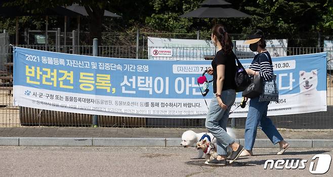 30일 서울 마포구 월드컵공원반려견 놀이터를 찾은 시민들과 반려견들이 시간을 보내고 있다. 2021.9.30/뉴스1 © News1 이재명 기자