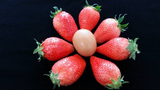 일반 달걀 크기와 맞먹는 킹스베리.