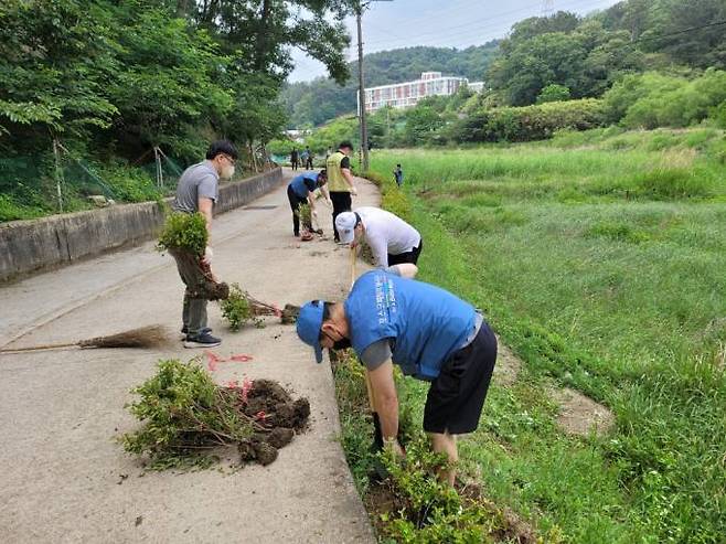 포항제철소 STS압연부 직원들이 양학동 연당못, 부학산 등산로에 연산홍을 심고 있다. (포항제철소 제공) 2022.06.26