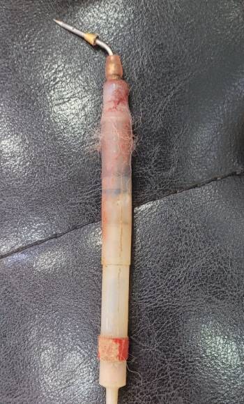 가온이의 어깨에서 빼낸 마취총 주사기./사진=동물자유연대